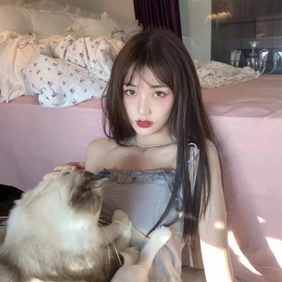 雁南飞